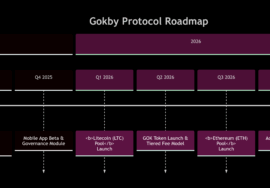 The Gokby Protocol Roadmap
